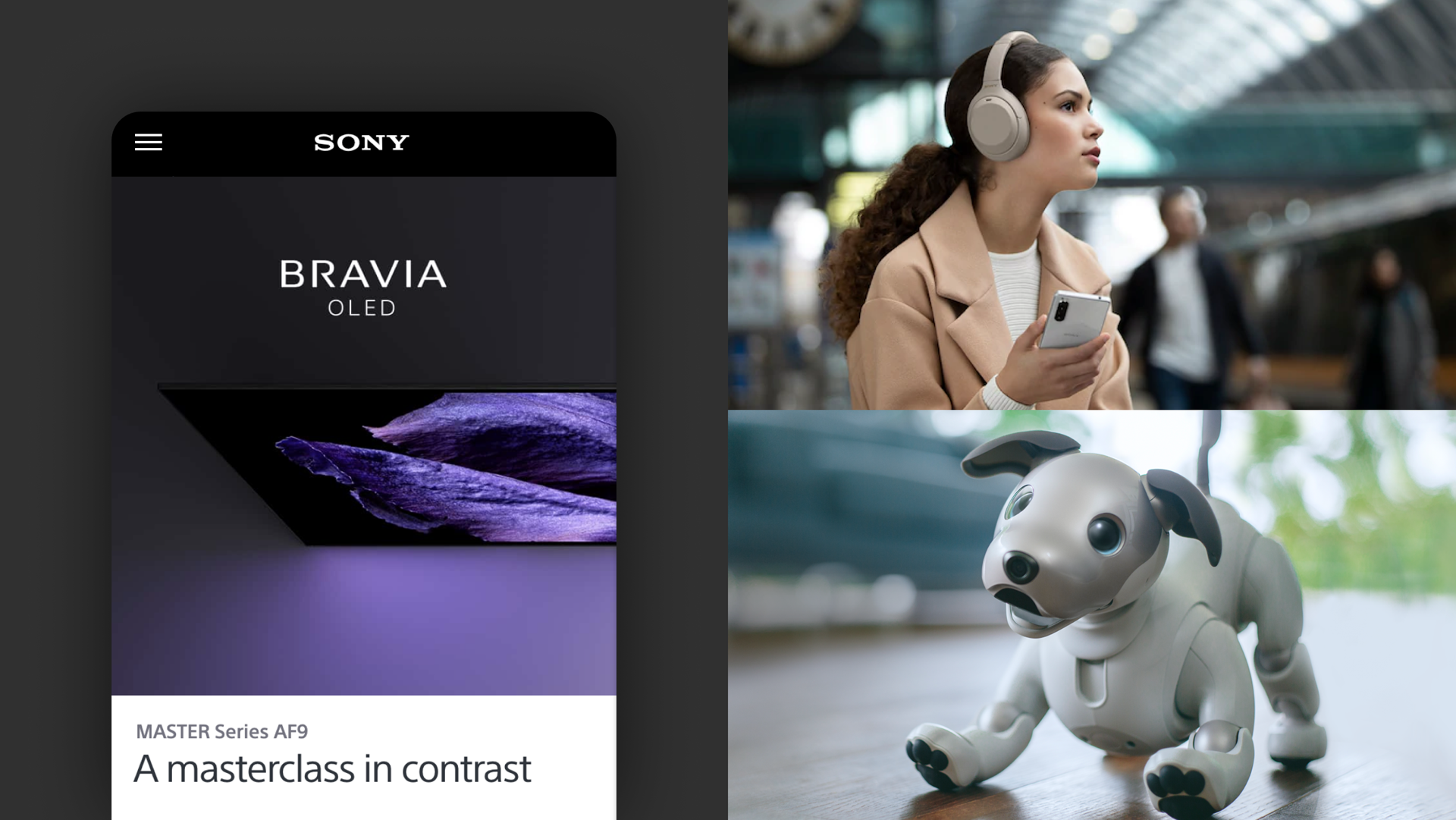Sony global content creation