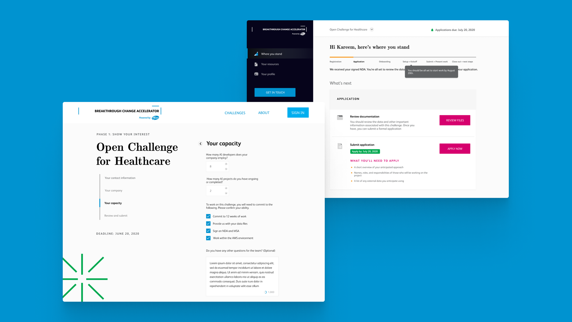Pfizer Breakthrough Change Accelerator